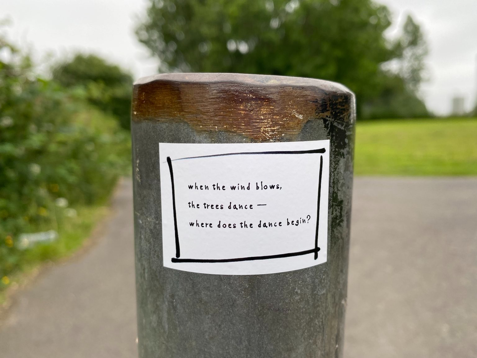 sticker on post in park with the words "when the wind blows, the trees dance — where does the dance begin?"